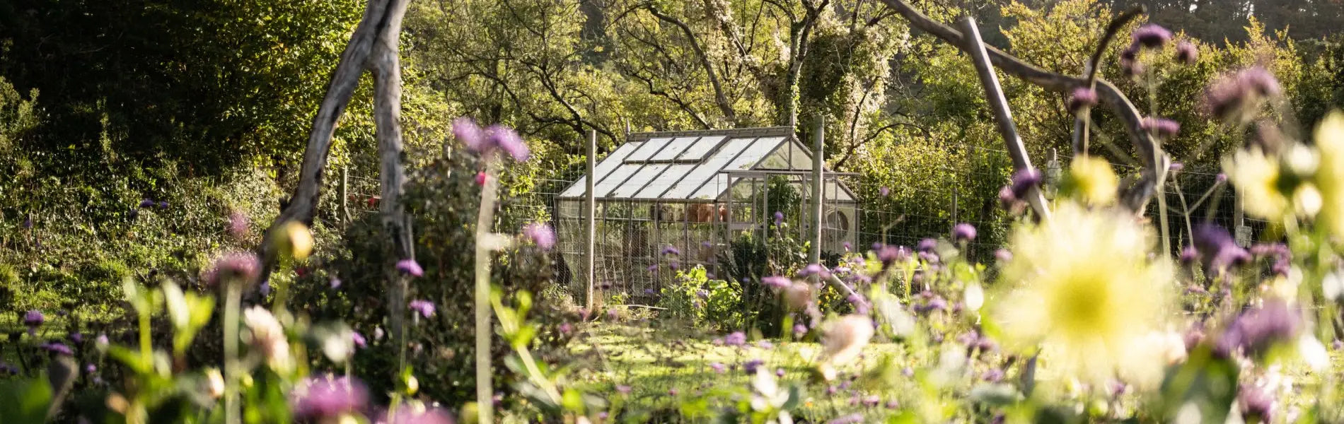 Rhino greenhouse in autumn