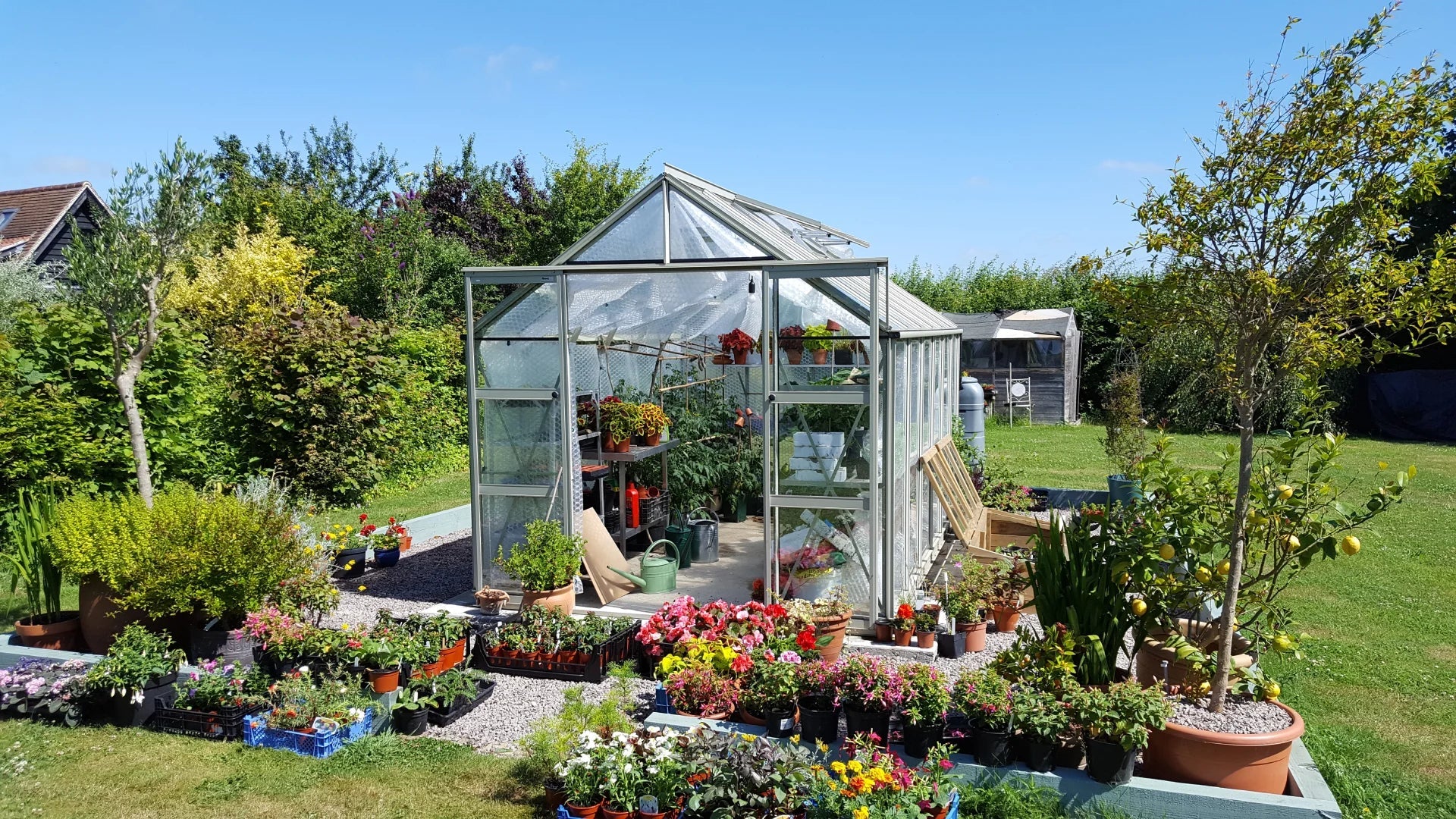 Insulating your greenhouse with bubble wrap: A complete guide