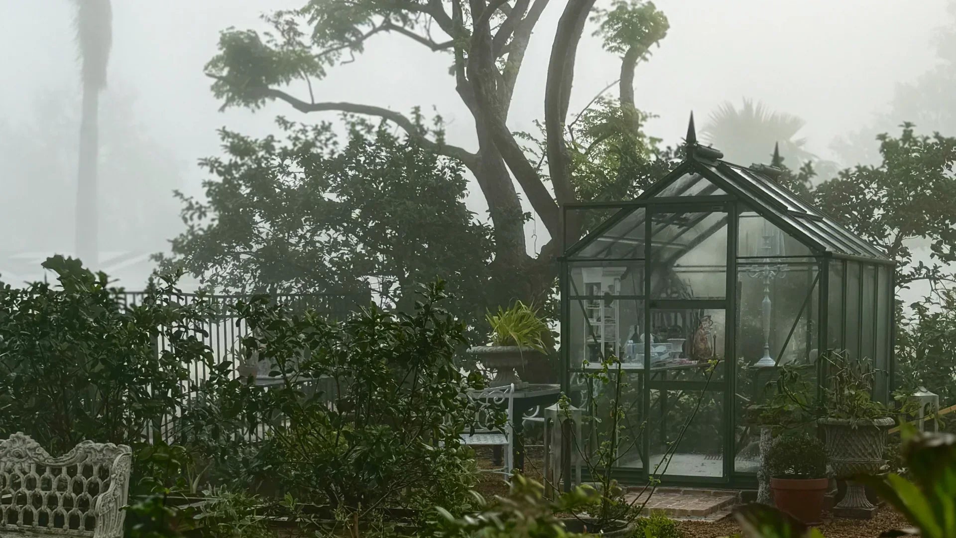 Rhino Greenhouse Survives Category 4 Hurricane in Florida