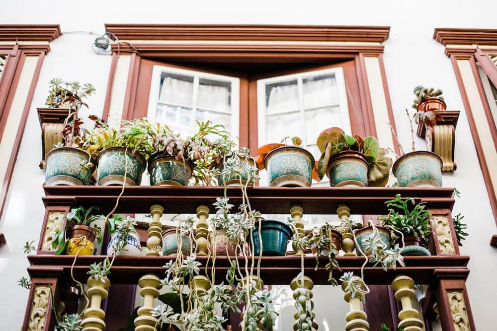 Intro to Urban & Balcony Gardens - Container Gardening