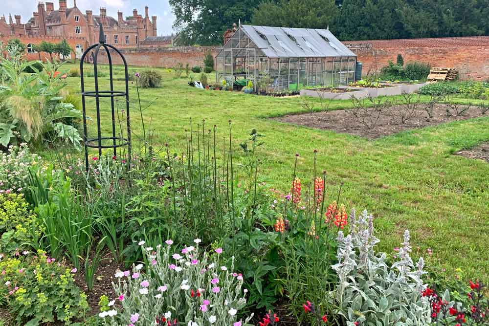 August at Norfolk School of Gardening - Veg Patch & Cutting Garden