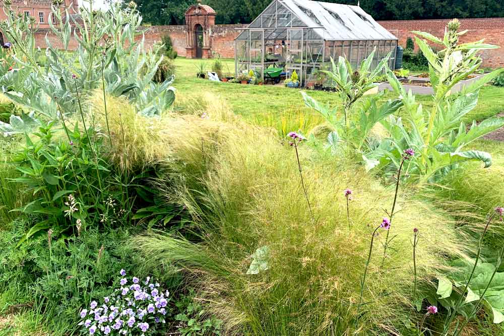 September at Norfolk School of Gardening - Indian Summer