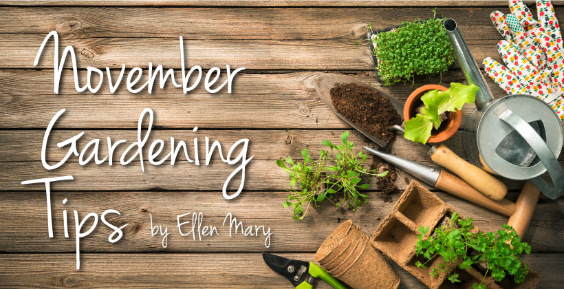 November Gardening Tips