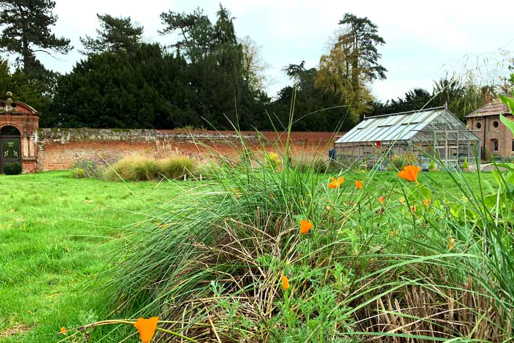 November at Norfolk School of Gardening - Design Orientated