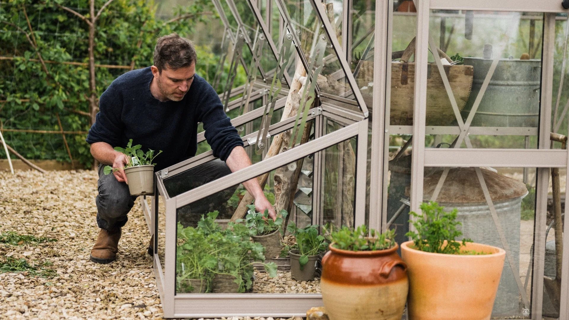 Overwintering in a cold frame