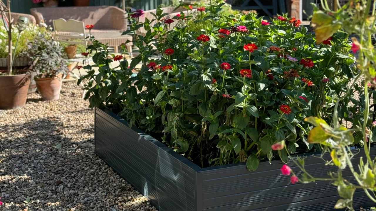 The Ultimate Guide to Raised Garden Beds