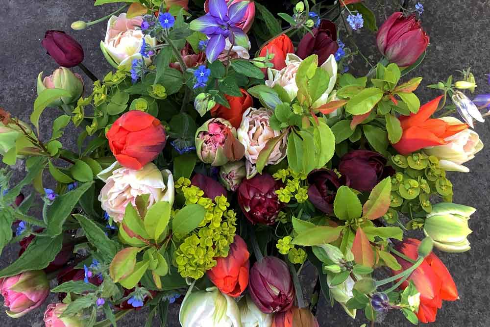 Flower Farmer's Blog: Planning for Spring