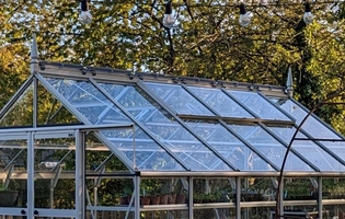 Rhino greenhouse in the shade