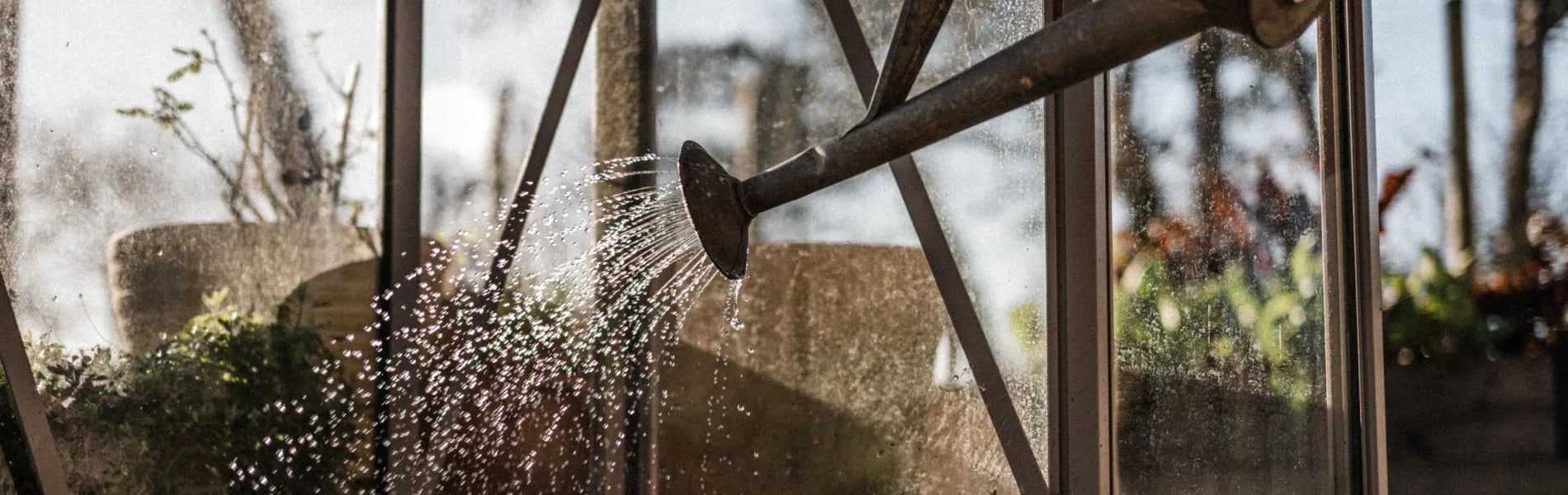 Watering can watering greenhouse crops