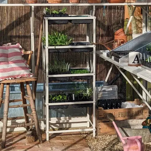 10 seedtray rack in antique ivory