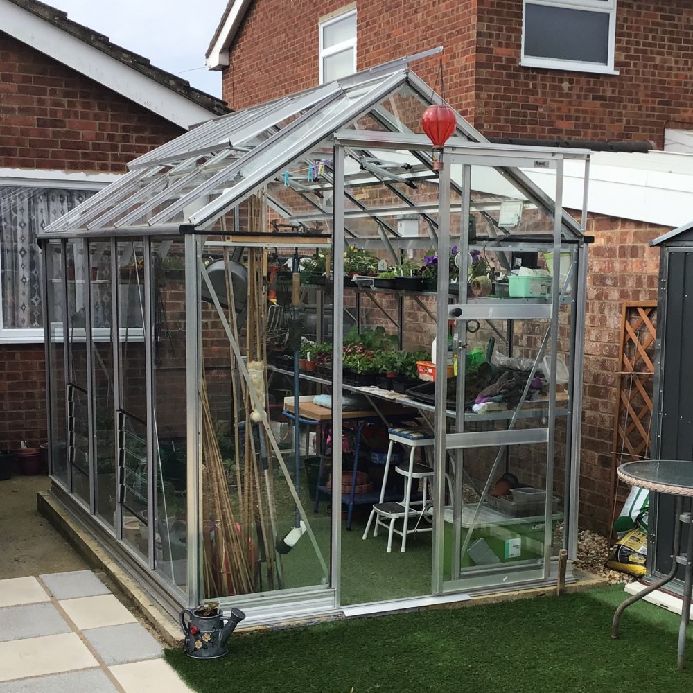 6x10 Premium Greenhouse