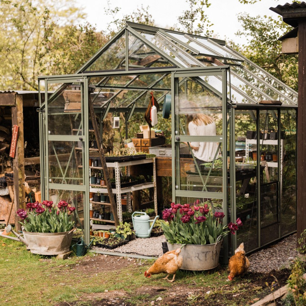 Rhino Premium 8x8 Greenhouse - Choice of Frame Colours