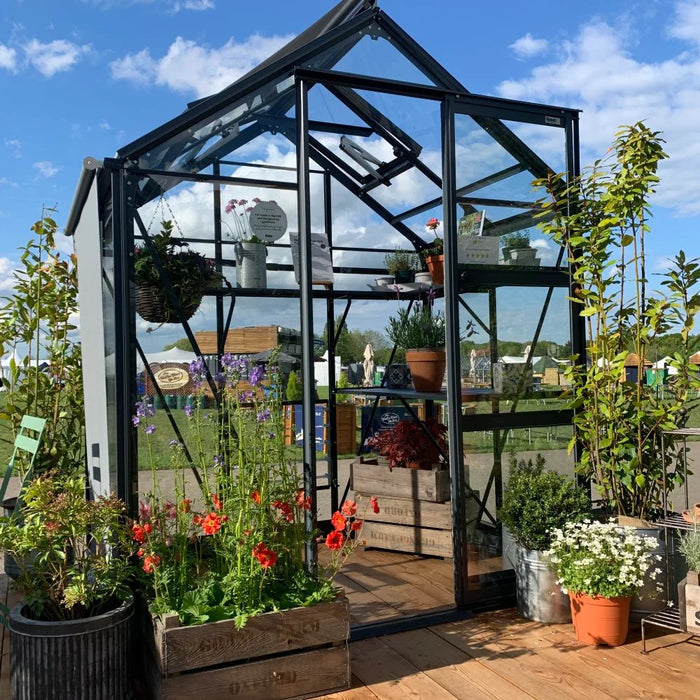 Greenhouse with plants in summer