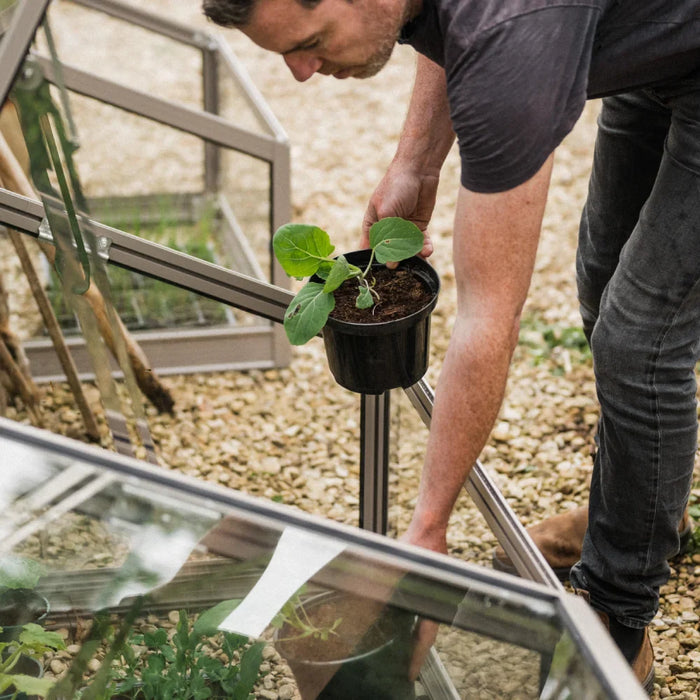 Man putting pots in greenhouse