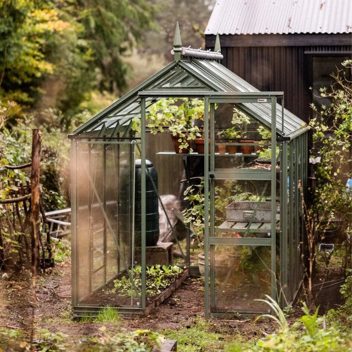6x8 Premium Greenhouse in garden