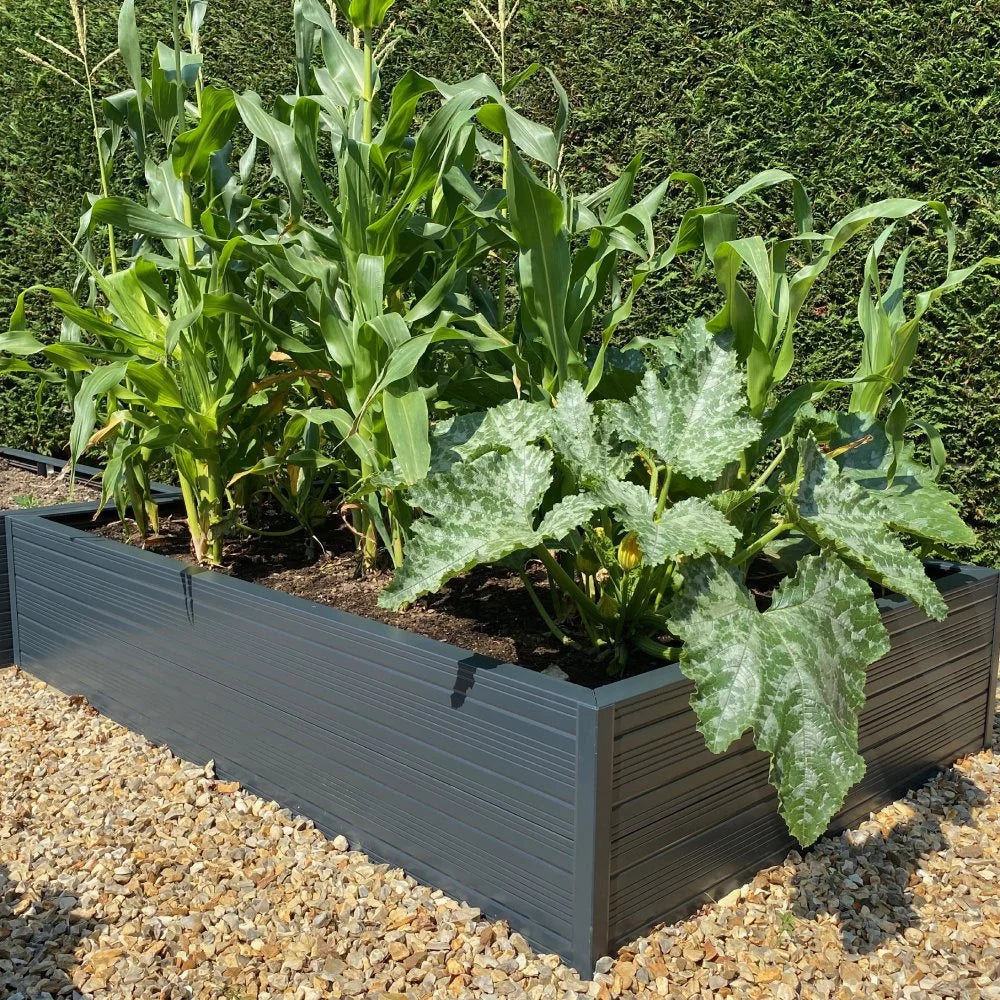 Raised beds