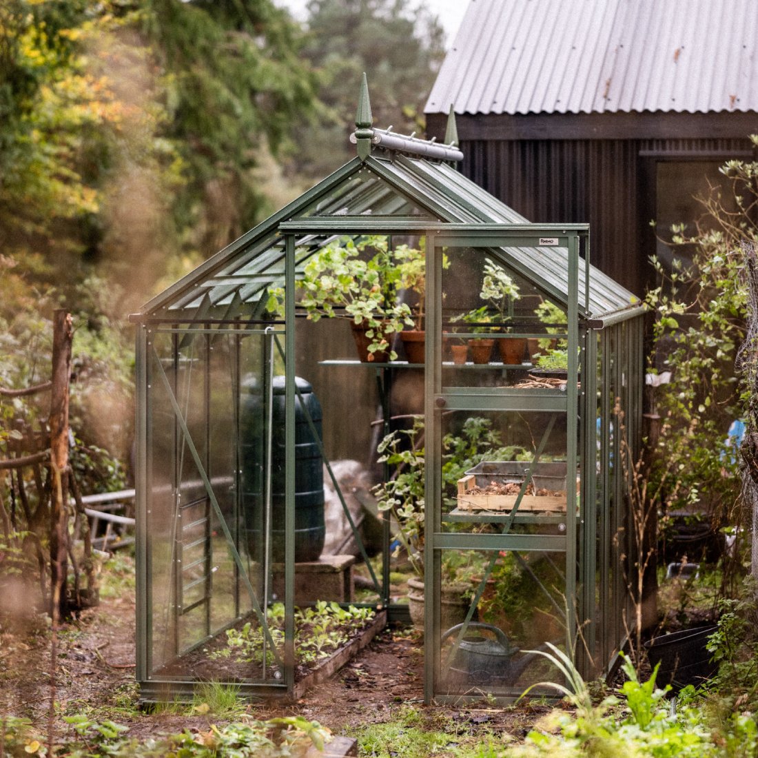 6x8 Premium Greenhouse in garden