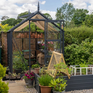 6x6 Premium Greenhouse Midnight Slate with raised bed