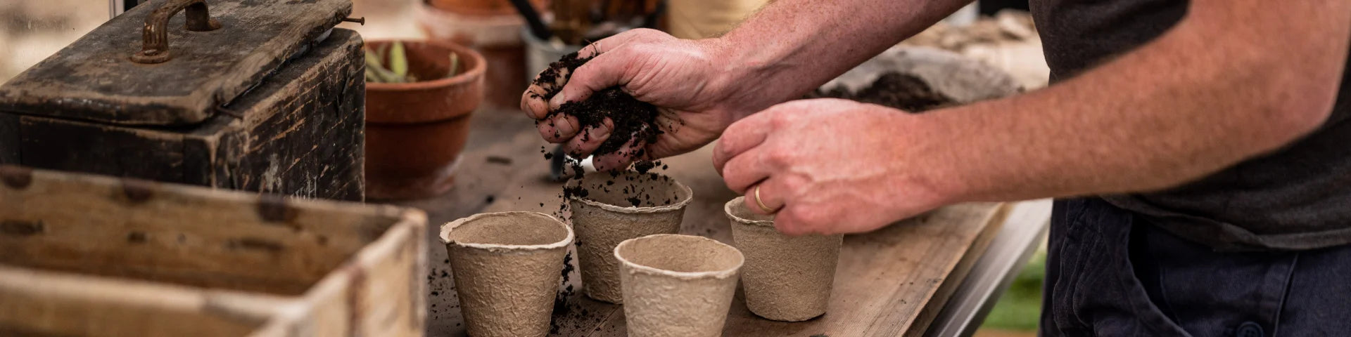 potting your plants