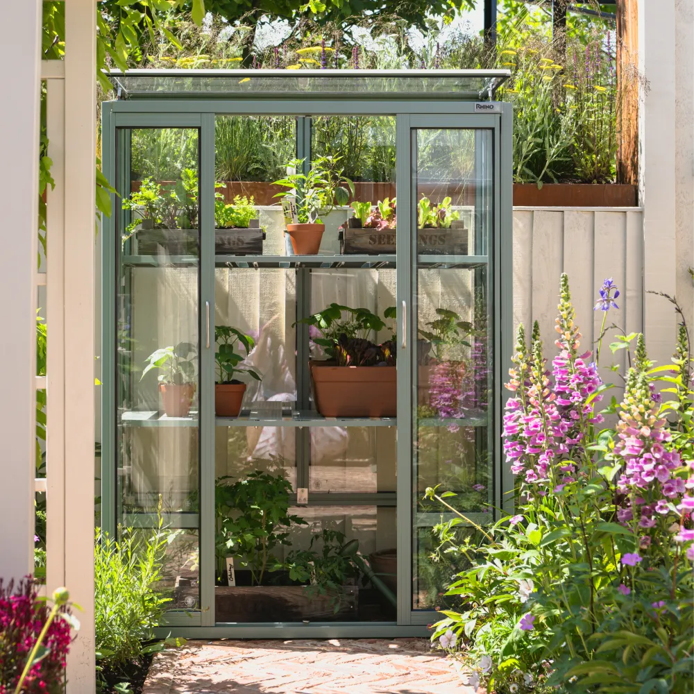 2x4 Patio Greenhouse | Rhino Greenhouses Mini | 25 Year Guarantees ...