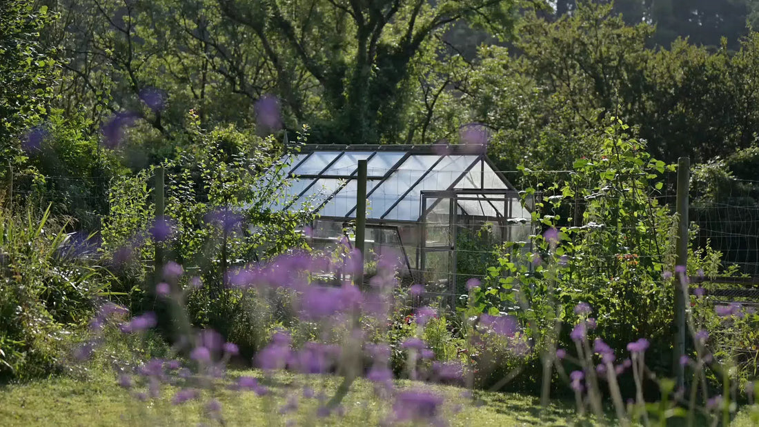 Short video of Gill Mellers Rhino Greenhouse