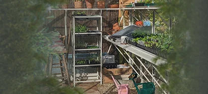 10 Tray Seedrack